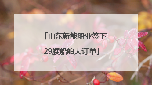 山东新能船业签下29艘船舶大订单